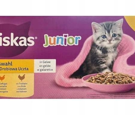 Karma mokra dla kotów Junior Drobiowa Uczta w galaretce 85g 40szt